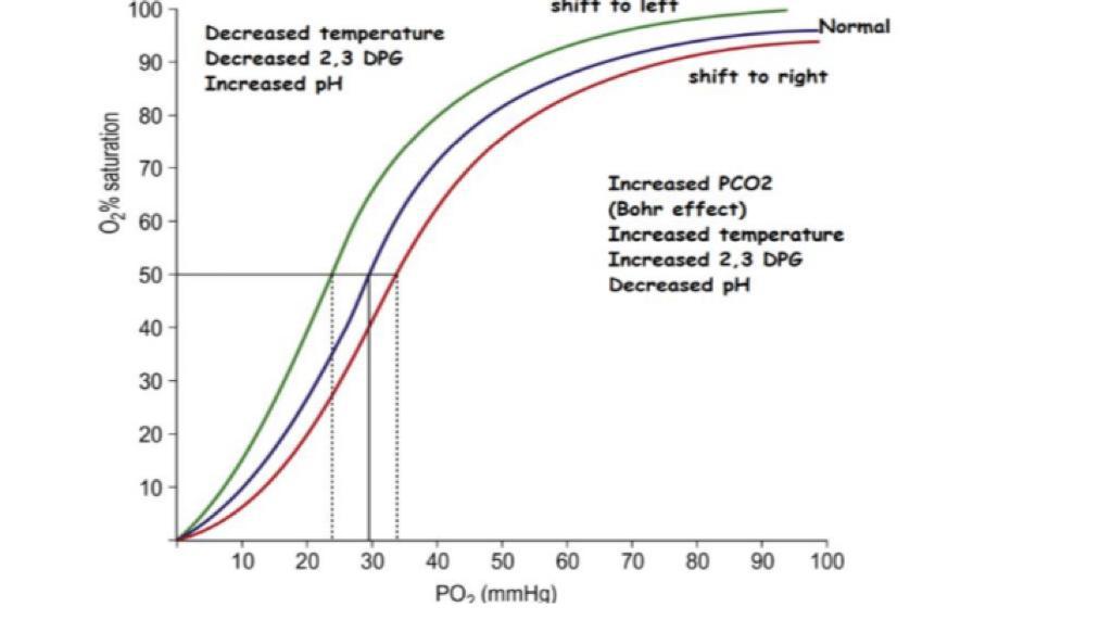 Oxygen Dissociation Curve Physiologyqa 